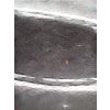 Echografie trainer hondenblaas