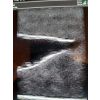 Echografie trainer hondenblaas