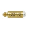 Heine Glaucotest transilluminator vervangende XHL Xenon Halogeenlamp (2.5V)