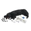 Basis Sanitaire CPR Hond