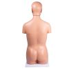 Seksloze torso