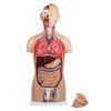 Torso met open rug