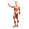 Gespierd figuur