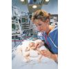 Micro-Preemie babysimulator - afbeelding 3