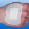 Rudavlies eilandpleisters 10 x 8 cm, 50 stuks