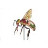 Model werkbij (Apis mellifera), 25x vergroot, 3-delig