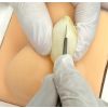 Castratie van honden - trainingsmodel - afbeelding 6