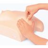 Borstverzorgings- en massagemodel - afbeelding 2