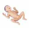 Model voor premature baby's