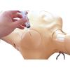Trainer voor thoraxtrauma's - afbeelding 4
