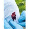 Wondmoulages - Set Standaard - afbeelding 6