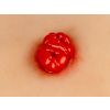 Wondmoulage dubbelloops colostoma, inclusief statief