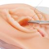 Trainer voor episiotomie en perineale laceratie - afbeelding 2