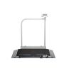 seca 667r Rolstoelweegschaal met leuning, EMR-comptabiliteit en RS232- interface