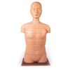 Schijftorso