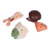 Dissectiemodel van ratten - afbeelding 5