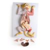 Zwanger kattendissectiemodel - afbeelding 10
