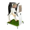 Geavanceerde simulator voor kunstmatige inseminatie (AI) koe - afbeelding 5