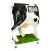 Geavanceerde simulator voor kunstmatige inseminatie (AI) koe - afbeelding 9