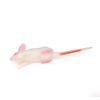 Simulatiemodel muis - afbeelding 2