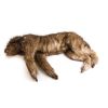 Rocky' positioneringspop voor honden