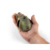Hondenhart met dissectie