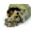 Hondenhart met dissectie